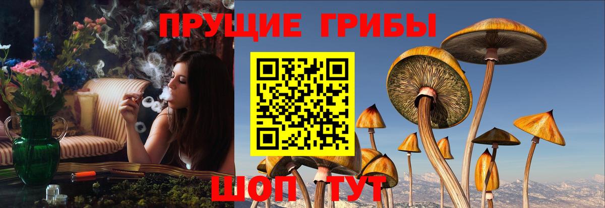 Ялуторовск  Галлюциногенные грибы прущие грибы  Вход с VPN 